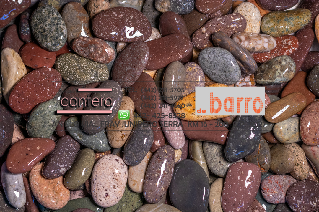 Huesito De Color