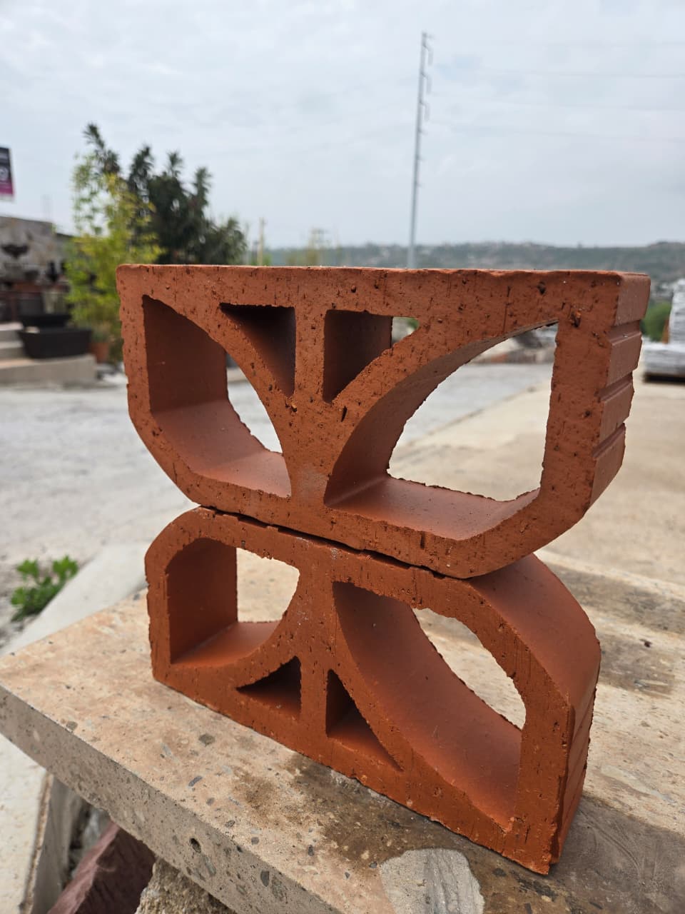 Celocias de Barro
