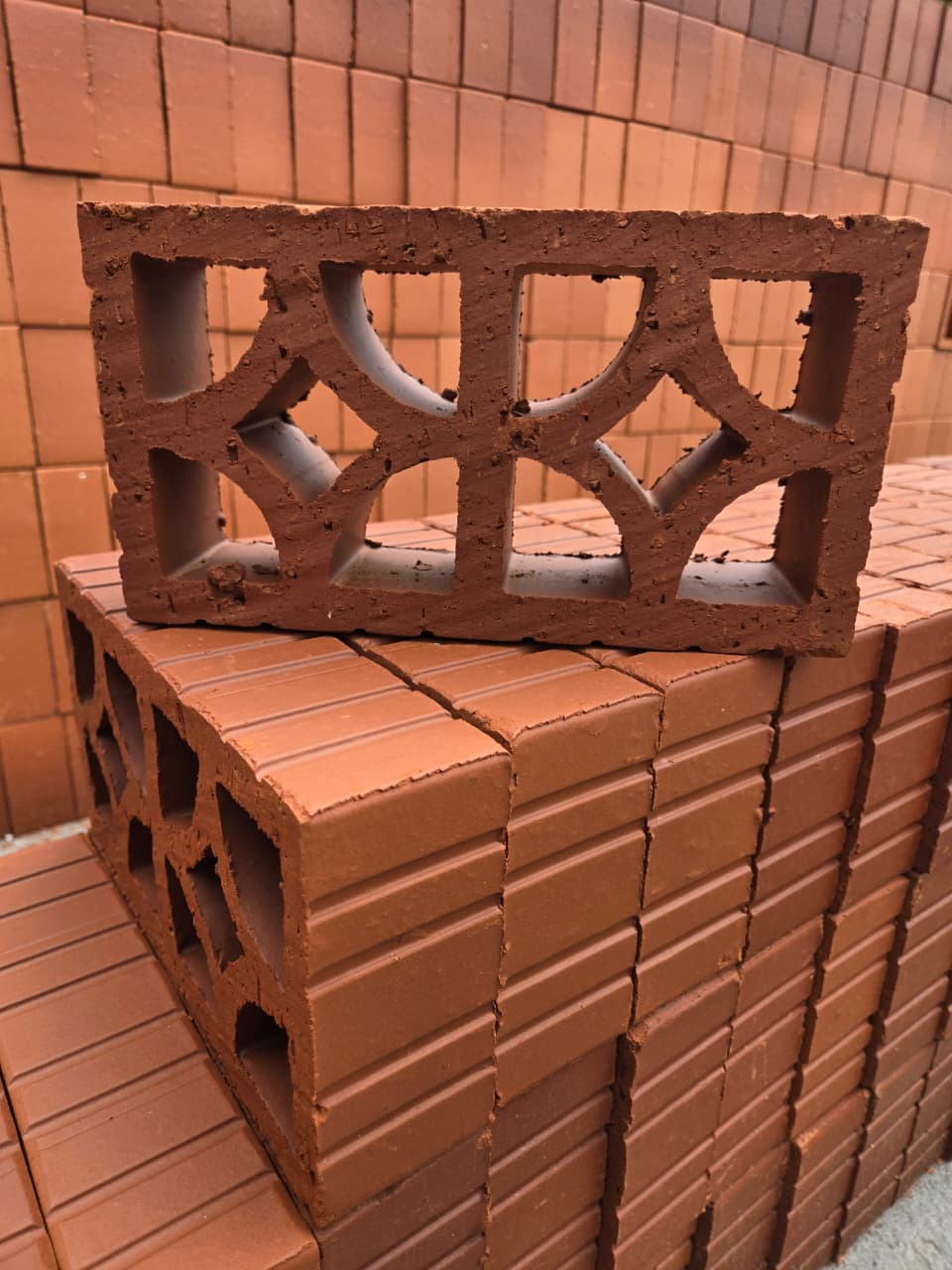 Celocias de Barro