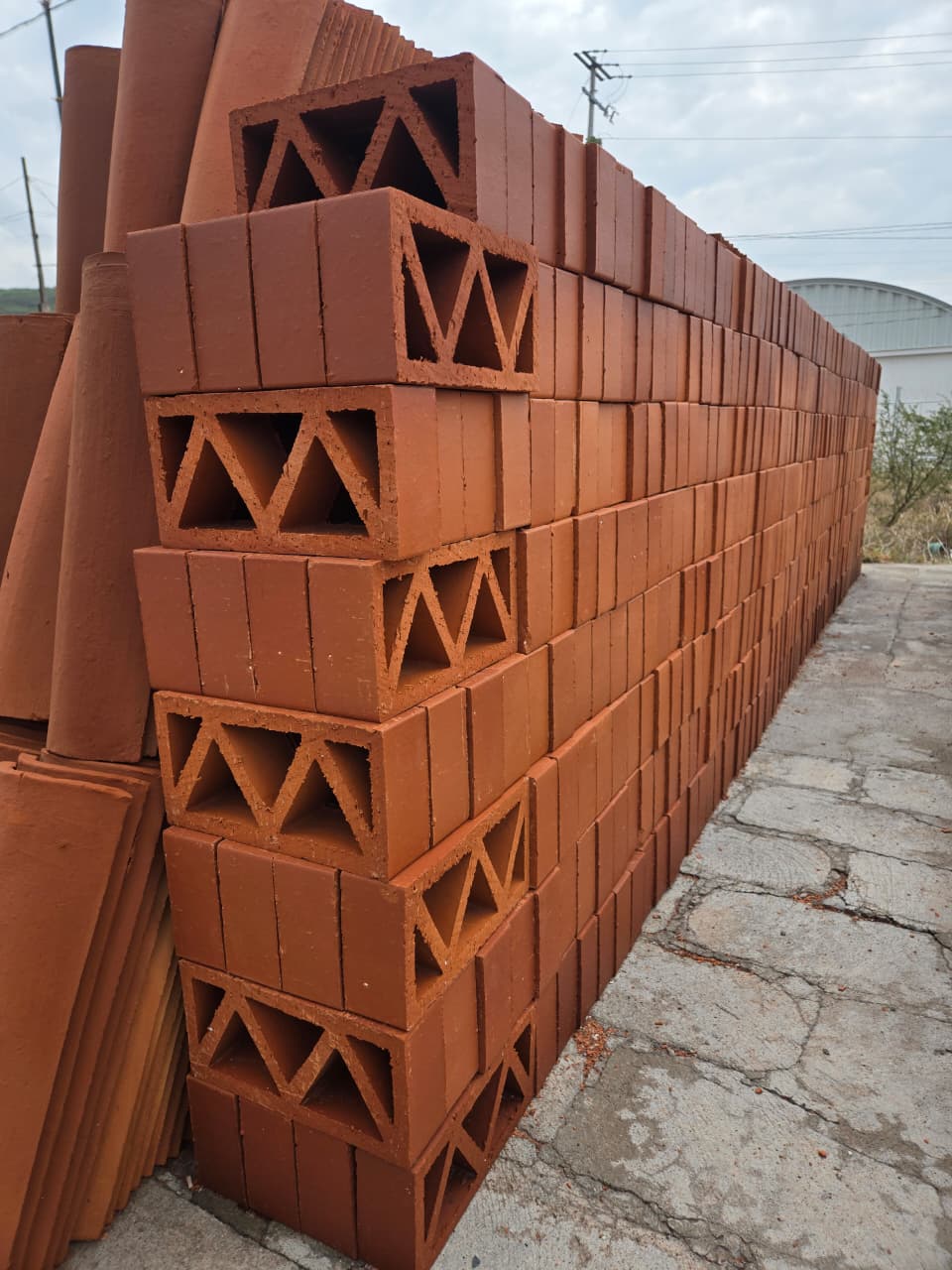 Celocias de Barro